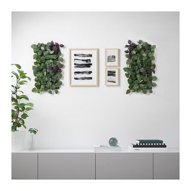 IKEA FEJKA artificial plant The plant wall panels are easy to connect with a simple click-solution. Ikea Plants, Artificial Plant Arrangements, Artificial Plants Decor, Artificial Plants Indoor, Artificial Plant Wall, Artificial Plants Outdoor, Office Plants, Monstera Plant, Plant Shelves