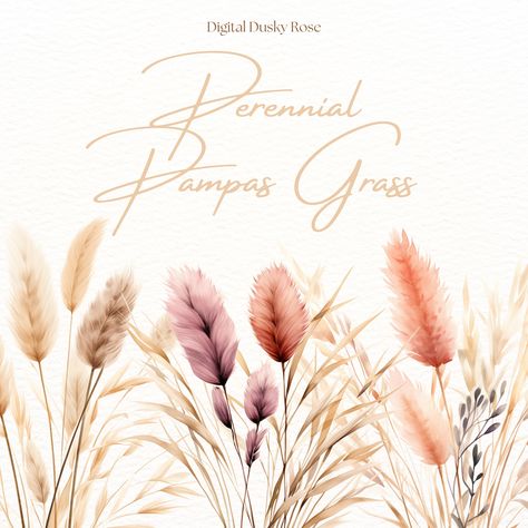 Pampas Grass Clipart, Botanical Neutral Tones, Wedding Clipart, Watercolor Perennial, Boho Dried Flowers Neutral Tones Wedding, Grass Clipart, Wedding Clipart, Feb 8, Pampas Grass, Boho Vibe, Neutral Tones, Boho Wedding, Wedding Designs