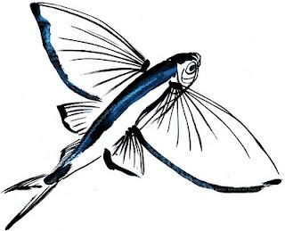 Fly Fish Flying Fish Illustration, Sealife Drawing, Diving Bird, Drawing Natural, Drawing Fish, Drawing Patterns, Geometric Tattoo Arm, Circle Tattoos, Wolf Tattoo Design