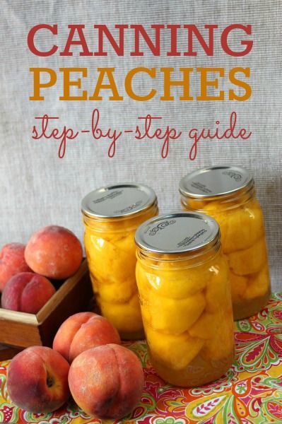 How to Can Peaches Preserve Peaches, How To Can Peaches, Can Peaches, How To Peel Peaches, Canning Peaches, Canning Fruit, Peach Preserves, Canning Vegetables, Canning Food Preservation