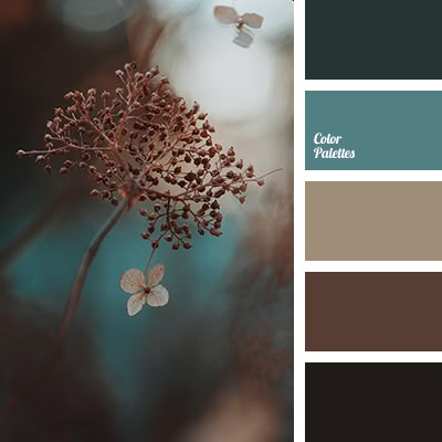 In Color Balance, Teal Palette, Teal Color Palette, Indoor Ideas, Color Palette Ideas, Wall Living Room, Color Palette Challenge, Brown Color Palette, Color Schemes Colour Palettes