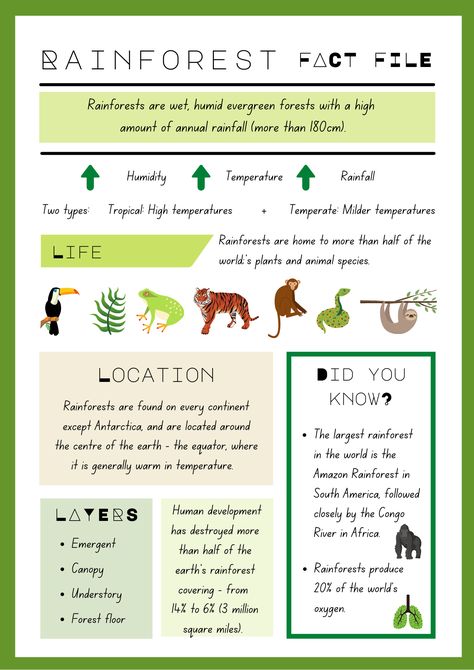 Rainforest Ecosystem Project Ideas, Rainforest Lesson Plans Preschool, Rainforest Habitat Projects For Kids, Rainforest Biome Project, Tropical Rainforest Biome Project, Forest Ecosystem Project, Rainforest Facts For Kids, Amazon Rainforest Facts, Rainforest Poster