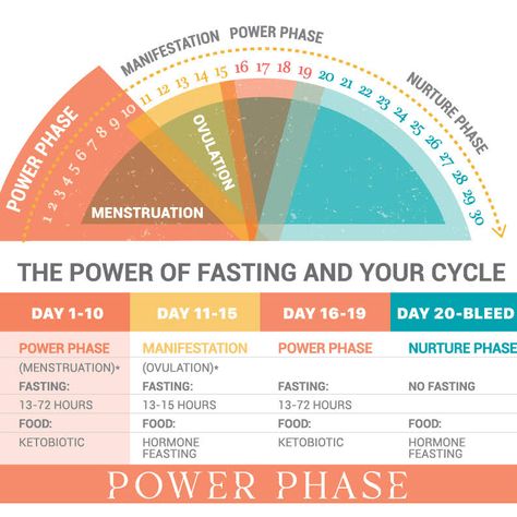 Post from Dr. Mindy Pelz Fasting According To Cycle, Dr Mindy Pelz Intermittent Fasting, Dr Mindy Pelz Food List, Ketobiotic Recipes Dr Mindy, Mindy Pelz Recipes, Mindy Pelz Fasting Cycle, Dr Mindy Pelz Recipes, Dr Mindy Pelz Fasting Chart, Mindy Pelz Fasting