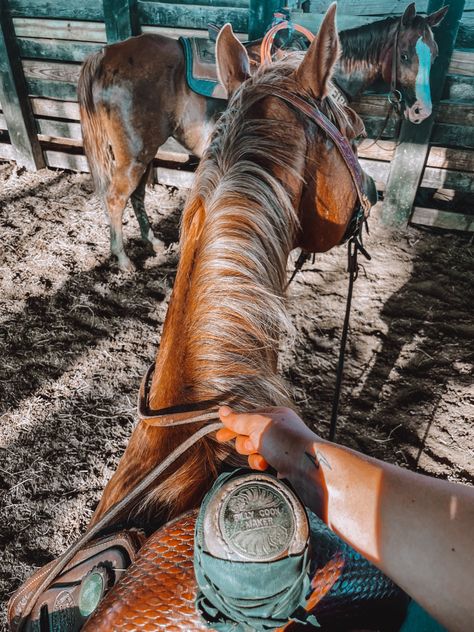 Horse Summer Aesthetic, Horseback Riding Aesthetic Western, Horse Ocean Aesthetic, Horses Western Aesthetic, Horses On The Beach Aesthetic, Western Life, Western Riding, Horse Aesthetic, Spirit Animal