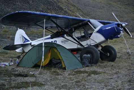 Stol Aircraft, Bush Pilot, Avion Rc, Bush Plane, Float Plane, Cabin Tent, Private Plane, General Aviation, Man Up