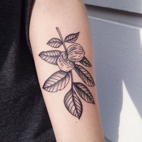 Walnut Branch Tattoo, Black Walnut Tree Tattoo, Pecan Branch Tattoo, Black Walnut Tattoo, Walnut Tattoo Ideas, Nutmeg Tattoo, Walnut Tree Tattoo, Pecan Tattoo, Hazelnut Tattoo