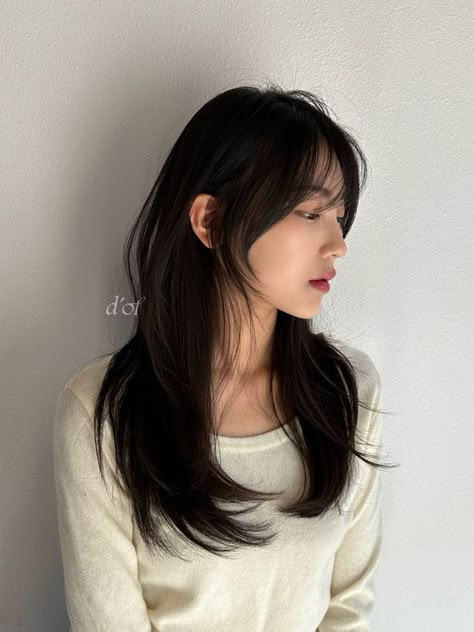 Korean Face Frame Bangs, Long Layered Hair With Face Frame, Hush Cut Wispy Bangs, Long Hush Cut With Wispy Bangs, Korean Face Framing Hair, Asian Curtain Bangs Long Hair, Japanese Layered Haircut, Korean Mid Length Hair, 2016 Haircut