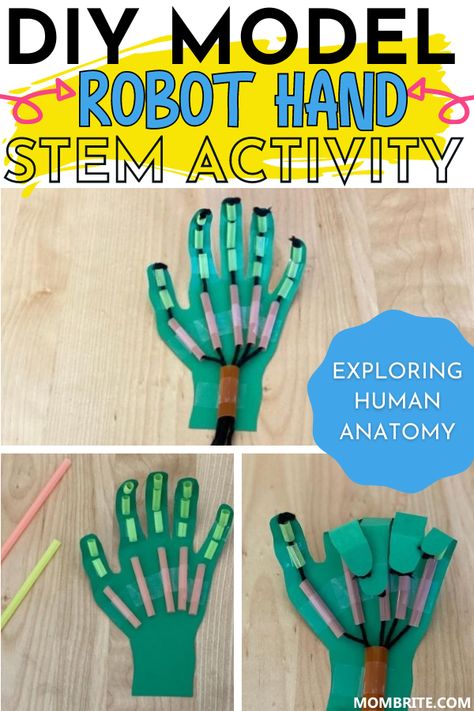 Stem Hand Project, Hands On School Activities, Stem Activity For Preschool, Anatomy Stem Activities, 4th Grade Stem Projects, Robot Hand Stem Activity, Engineering Crafts For Preschool, Engineering For Preschoolers, Steam Technology Activities