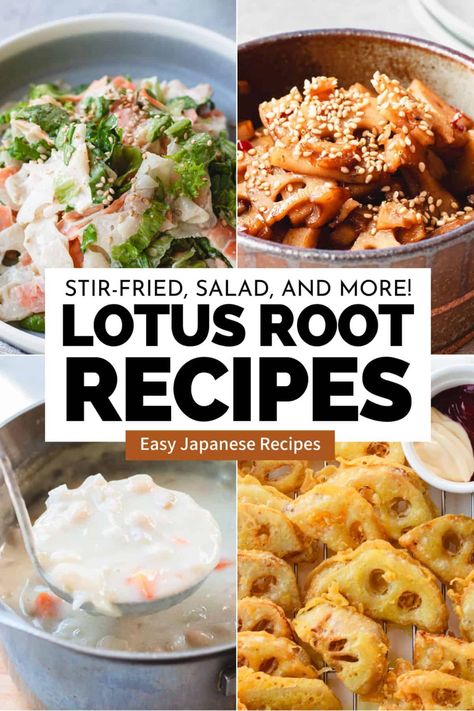 Are you looking for tasty Japanese Lotus Root recipes? Here, you'll find 6 delicious dishes to enjoy their delightful flavors to the fullest! Lotus Root Recipes, Lotus Root Recipe, Root Recipes, Lotus Recipe, Japanese Side Dish, Japanese Lotus, Homemade Chinese Food, Easy Japanese Recipes, Japanese Recipe