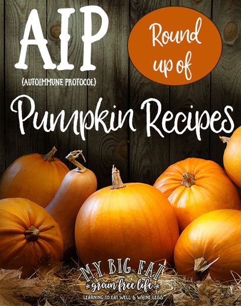 Lots of aip-pumpkin recipes Aip Pumpkin Dessert Recipes, Aip Fall Desserts, Aip Salad Recipes, Aip Pumpkin Pie, Aip Thanksgiving, Pumpkin Pie Squares, Aip Paleo Breakfast, Aip Pumpkin, Aip Paleo Desserts