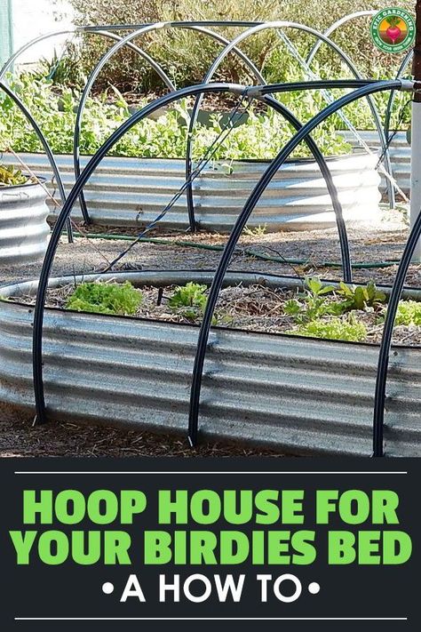 Building a raised bed hoop house can help you extend your season or prevent pests. We've created one just for the Birdies garden bed! Raised Bed Hoop House, Raised Garden Bed Cover Ideas, Diy Greenhouse Cover For Raised Bed, Birdies Garden Beds, Garden Hoops Raised Beds, Birdies Raised Garden Beds, Building A Raised Bed, Gods Tattoo, Epic Gardening