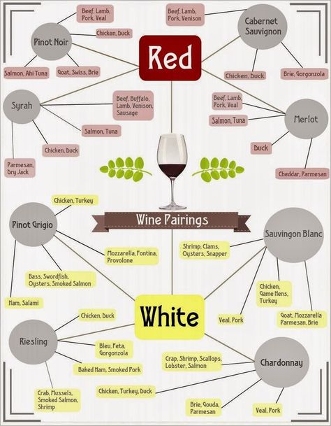 Easy wine and food pairing how-to! Turkey Wine Pairing, Wine Pairing Party, Wine Chart, Food Pairing, White Wines, Wine Pairings, Wine Guide, Wine Food Pairing, Types Of Wine