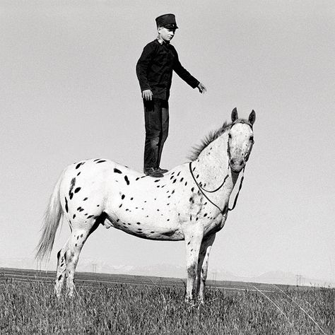 Special Exhibition: That Day – Pictures in the American West, by Laura Wilson Appaloosa Horses, Appaloosa, American West, Show Horses, Vintage Photographs, Artist At Work, American Art, Black And White Photography, Montana