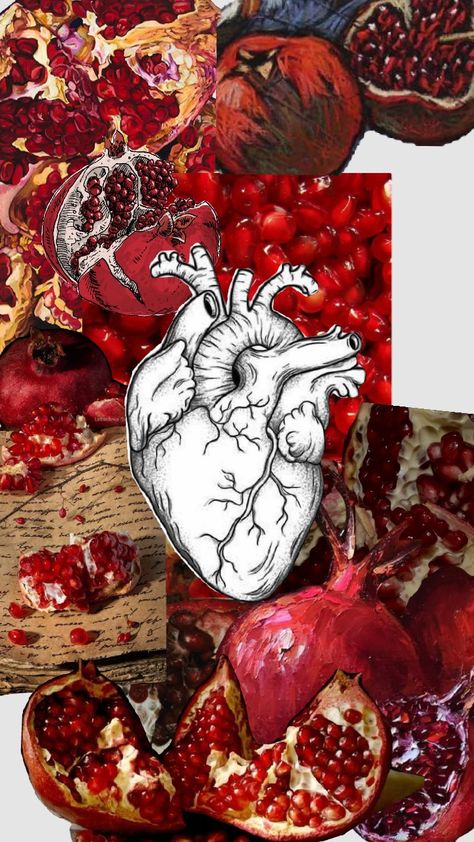 #pomegranate the fruit of the heart Pomegranate Wallpaper Iphone, Pomegranate Iphone Wallpaper, Pomegranate Theory, Pomegranate Aesthetic Dark Wallpaper, Pomegranate Heart, Art Terms, The Fruit, Pomegranate, Music Video