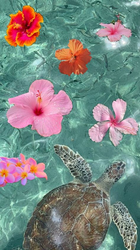 Hibiscus Flower Wallpaper Aesthetic, Sea Turtle Wallpaper, Summer Prints Wallpaper, Beachy Wallpapers, Sea Life Wallpaper, Iphone Wallpaper Violet, Wallpaper Preppy, Turtle Wallpaper, Beach Wallpaper Iphone