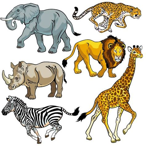 Vector set of wild animals design graphic 05 Savanna Animals, Wild Animals Vector, Africa Animals, Animals Design, African Wildlife, African Animals, Animal Clipart, Wildlife Animals, Giraffes