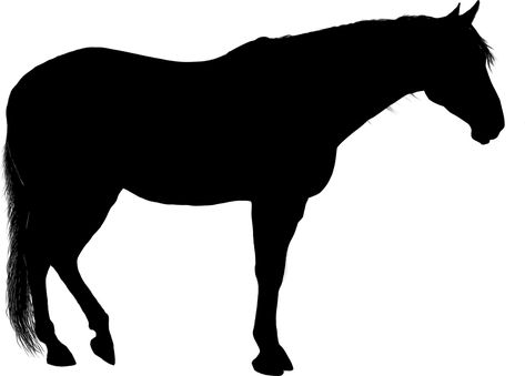 Standing Horse, Horse Stencil, American Paint Horse, Painted Horses, Pencil Drawings For Beginners, Free Horses, Paint Horse, American Paint, Unicorn Illustration