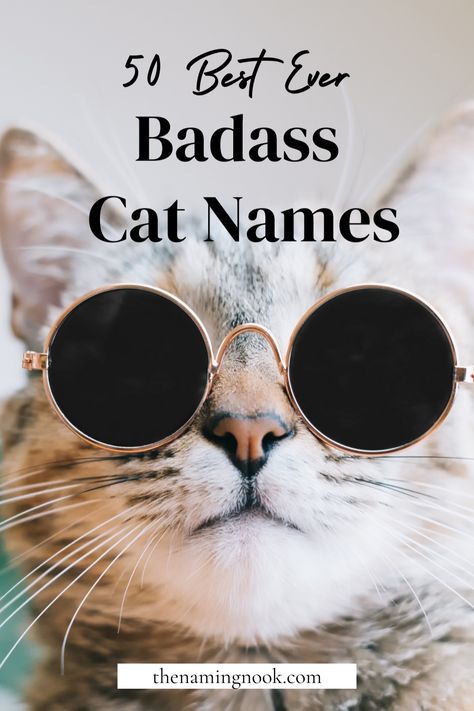 Looking for a cool and badass cat name idea that’s one-of-a-kind? Explore our 40 edgy names for cats and kittens. Whether you have a male or female cat, these unique cat names are ideal cool cats! cat name aesthetic, cat name ideas cool, unique kitten names. Female Cat Names Unique, Badass Cat Names, Name Ideas Unique, Cat Names Unique, Cat Name Ideas, Edgy Names, Boy Cat Names, Girl Cat Names, Cute Animal Names