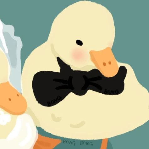 Duck Images, Duck Pfp, Cute Duck, Psd Files, Hd Wallpapers, Matching Pfp, Stock Photos, Wallpapers, Screen