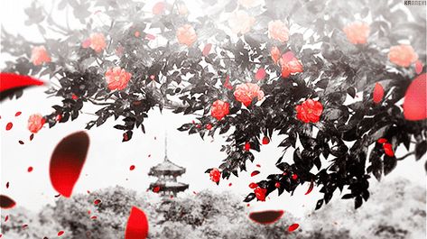 Anime Discord Banner Aesthetic, Light Red Banner Gif, Red And White Banner Gif, Red And White Discord Banner, Red Banner Gif, Anime Banners, Japanese Gif, Gif Banners, Roses Gif