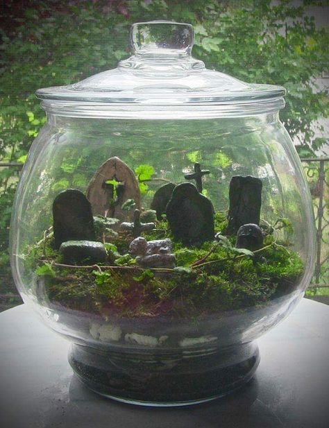 Cemetarium Beetlejuice Party, Beetlejuice Halloween, Halloween Decor Diy, Terrarium Ideas, Deco Nature, Diy Halloween Decor, Goth Home Decor, Goth Home, Halloween 2020