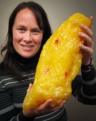 10 lbs of fat.  I think I might pass up on the extra late night snack.. Fat Person, Lose 5 Pounds, Pound Of Fat, Losing 10 Pounds, 5 Pounds, Burn Fat, Get In Shape, Get Healthy, How To Stay Healthy