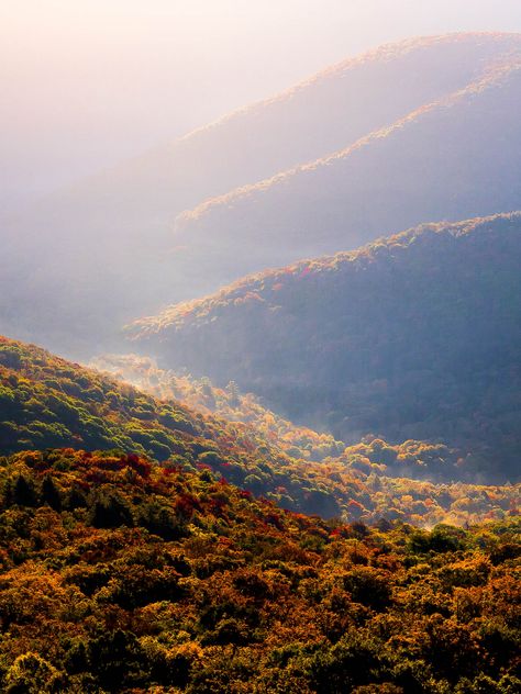 Catskill Mountains - New England states New England States, Lights Artist, Connor Franta, Outdoor Pictures, Catskill Mountains, Fall Hiking, Mountain Hiking, Rolling Hills, Fall Color