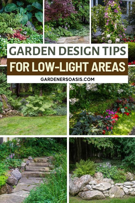 Shade Garden Design Ideas (How To Design A Stunning Shade Garden&#8211;With Pictures) | Gardening Shade Fence Landscaping, Landscaping For Shaded Areas, Shaded Garden Ideas, Front Yard Garden Beds, Shade Garden Design Layout, Small Front Yard Garden, Shade Garden Ideas, Garden Witch, Shade Landscaping