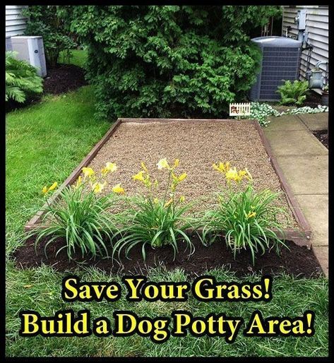 Outdoor Dog Area, Dog Lawn, Backyard Dog Area, Dog Potty Area, Dog Friendly Garden, Dog Friendly Backyard, Dog Backyard, Dog Spaces, Dog Yard