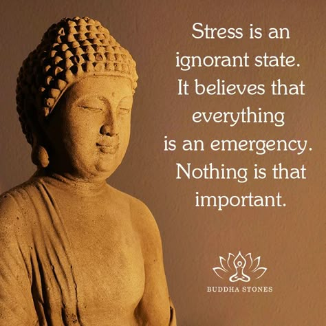 💭 Tag someone below who would like this post! . 🧘 Stress is an ignorant state. It believes that everything is an emergency. Nothing is that important. -----------------☯☯☯----------------- #Tibet #Buddha #mindfulness #meditation #breath #buddhism #peacefully #harmony #wisdom #blessing #lotus #buddhawisdom #Protection #buddhainspired #Purification #buddhist #Dragon #Pixiu #buddhastones #spiritual #spirituality #mindfulness #love #positive #calm #loverofbudhha #consciousness #gemstone #mind #h... Buddhist Affirmations, Buddhist Aesthetic, Buddha Quotes Happiness, Buddhism Aesthetic, Buddhist Dragon, Buddhism Philosophy, Assumption Quotes, Peace Buddha, Hello Text