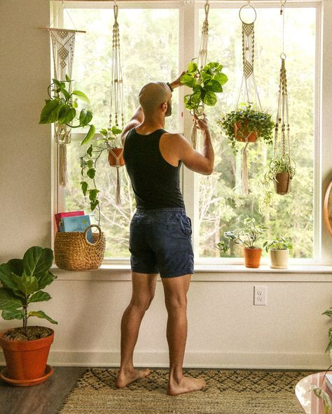 DIY Adjustable Plant Window (Renter-Friendly!) —  Probably This Bay Window Plant Display, Bay Window Plants, Large Window Decor, Hang Plants From Ceiling, Window Plant Shelf, Plant Window, Window Plants, Window Shelves, Hanging Plants Indoor