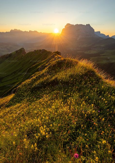 Mountains In Italy, Grassy Hill, Sunset Hills, Mountain Images, Sunset Images, Grassy Field, Wildflower Meadow, Outdoor Flowers, Free For Commercial Use