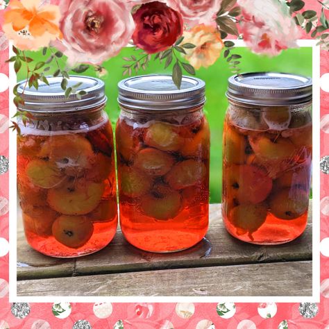 Grammie's Candied Crab Apples - My Little Pink Home Canned Spiced Crabapples, Canning Whole Crab Apples, Pickled Crab Apple Recipes, Candied Crab Apples, Crab Apple Preserves, Canning Crab Apples, Crab Apple Recipes Easy, Canned Crab Apples, Pickled Apples Recipe