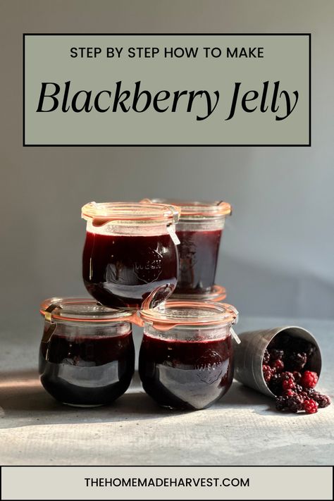 What is better than ripe, freshly picked blackberries? I’ll walk you through how to make blackberry jelly (no seeds) step by step. This post contains all the tips and tricks that a beginner would need to try their hand at jelly making. How To Make Dewberry Jelly, Blackberry Jelly Recipe Easy, Blackberry Jelly Recipe Seedless, Blackberry Jelly Recipe With Pectin, Dewberry Jelly Recipe, Blackberry Jelly Recipe, Jelly Making, Jelly Maker, Blackberry Jam Recipes