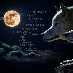 Napoleon Bonaparte Quotes, Courage Defined, Quote Courage, True Courage, Wolf Quotes Strength, Inspiration Quotes, Courage Isn T, Strength Napoleon Citation Force, Lone Wolf Quotes, Wolf Quotes, She Wolf, Wolf Spirit, Warrior Quotes, Life Quotes Love, Lone Wolf, Badass Quotes