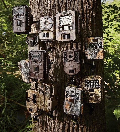 trail cameras Hunting Stands, Deer Hunting Tips, Deer Camp, Trail Cameras, Surviving In The Wild, Trail Camera, Hunting Tips, Hunting Blinds, Turkey Hunting