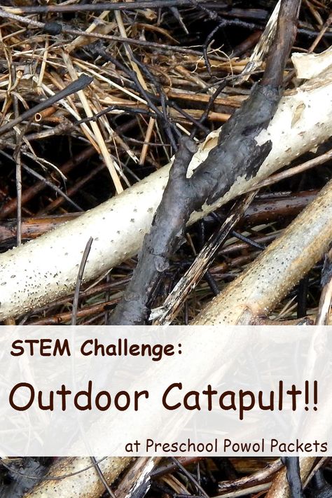 Fun! Invite your kiddos to use their STEM skills to build a catapult with outdoor materials!  Perfect for kids in preschool, elementary school, and older! Build A Catapult, Outdoor Skills, Forest School Activities, Stem Lesson, Stem Classroom, Nature School, Stem Challenge, Outdoor Education, Cool Science Experiments