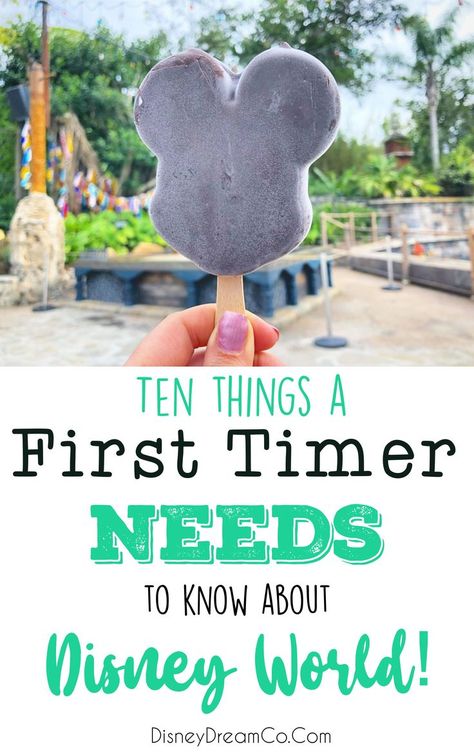 Here is a list of the ten tops things people need to know before heading to their first Disney World vacation! #disney #disneyworld #wdw #waltdisneyworld #disneyparks #disneytips #tips #firsttime #firsttimetodisney Disney World 2023, First Trip To Disney, Disney World 2024, Disney World Secrets, Board Pictures, Disney 2023, Disney World Vacation Planning, Trip To Disney World, Family Disney Trip