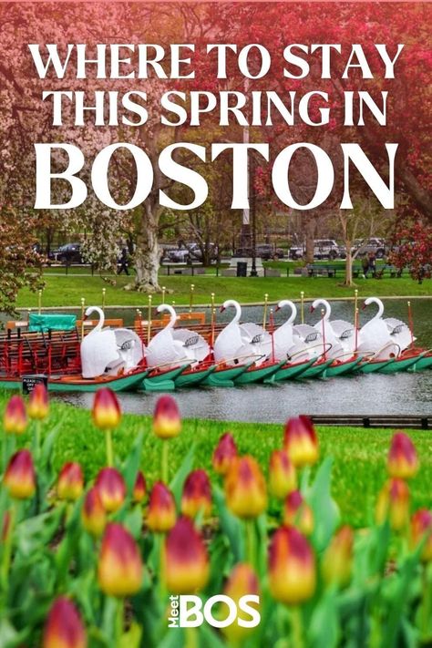 DISCOVER WHERE TO STAY IN THE GREATER BOSTON AREA. Boston, Cambridge and the Greater Boston area offer a wide selection of accommodations to meet your needs and tastes, from luxury downtown properties and romantic boutique hotels to family and budget-friendly options. Bed and Breakfasts, tucked into Boston's diverse neighborhoods, are also good options during your visit. For longer stays and those in need of a home-away-from-home, short-term rentals of all kinds are equally available. Hotels In Boston, Boston Cambridge, Boston Travel Guide, Visiting Boston, Downtown Boston, Boston Travel, Boston Hotels, Boston Common, Family Friendly Hotels