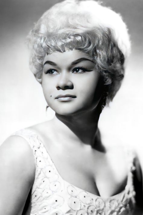 Etta James Etta James Wallpaper, Etta James Aesthetic, Vibe Liza James Aesthetic, Etta James Aesthetic Poster, Beyonce Etta James, Lulu Singer, Reference Portrait, Stevie Wonder Black And White, Hollywood Vibes