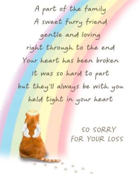 Cat Died Sorry Your, Sympathy Cat Loss, Pet Condolences Cat, Pet Sympathy Quotes Cat, Loss Of Cat Sympathy Card, Pet Loss Cards, Dog Loss Sympathy Messages, Dog Condolences Loss Of Pet, Sorry For The Loss Of Your Dog