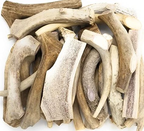 Big Dog Antler Chews - One Pound Pack of Sun-Aged Deer and Elk Antler Dog Bone Chews - Natural Healthy Long-Lasting Treat Dog Antlers, Fallow Deer, Elk Antler, Shed Antlers, Elk Antlers, Beef Bones, Dog Bones, One Pound, Man And Dog