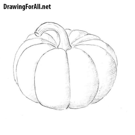 Pumpkin Art Ideas, Pumpkin Canvas Painting, Draw A Pumpkin, Thanksgiving Drawings, Pumpkin Drawing, Drawing Animals, Journaling Inspiration, Bullet Planner, Creative Pumpkins