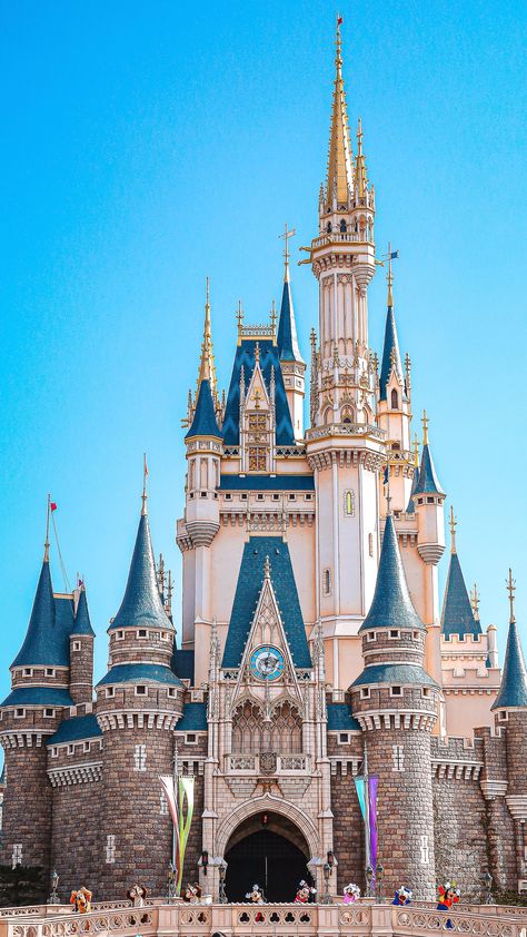 Disney World Castle Wallpaper, Disneyland Background, Disney Castle Wallpaper, Walt Disney Castle, Disney World Castle, Disney Castles, Wallpapers Disney, Disney Universe, Disney Hollywood Studios