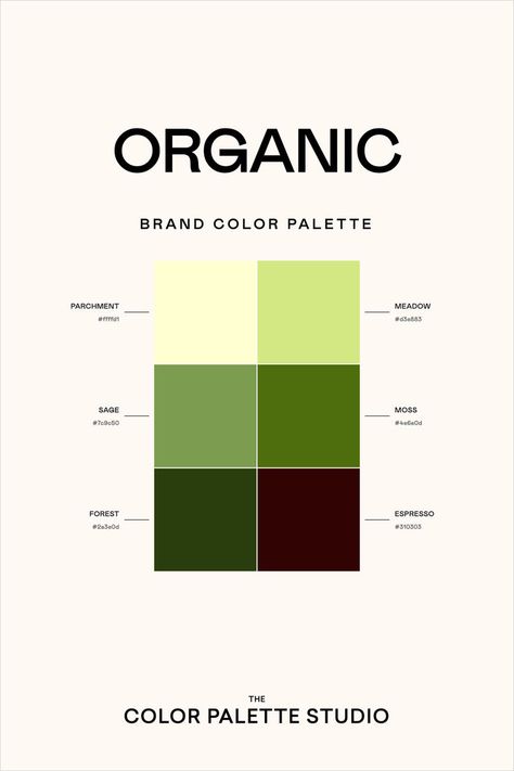 Elevate your design projects with this stunning organic color palette inspired by natural landscapes. Soft parchment yellows blend seamlessly with rich sage greens, mossy undertones, and deep forest hues, creating a harmonious and professional visual experience. These colors offer multiple WCAG accessible combinations perfect for branding, web design, and illustration. Unlock your creative potential with the Color Palette Builder from Color Palette Studio - the ultimate tool for designers seeking professional, intentional color strategies that transform visual communication. Rustic Branding, Organic Color Palette, Organic Palette, Masculine Design, Organic Textures, Brand Aesthetic, Earthy Color Palette, Brand Color Palette, Organic Colors