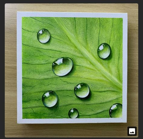 Water Drop Painting, Water Drops On Leaf, Drop Painting, Prismacolor Art, Art Painting Tools, Cool Pencil Drawings, Cat Air, 수채화 그림, Water Art