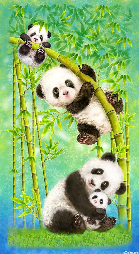 Panda Sanctuary, Panda Family, Panda Lindo, Cute Panda Wallpaper, Panda Art, Panda Bears, Art And Painting, Panda Love, Bear Wallpaper