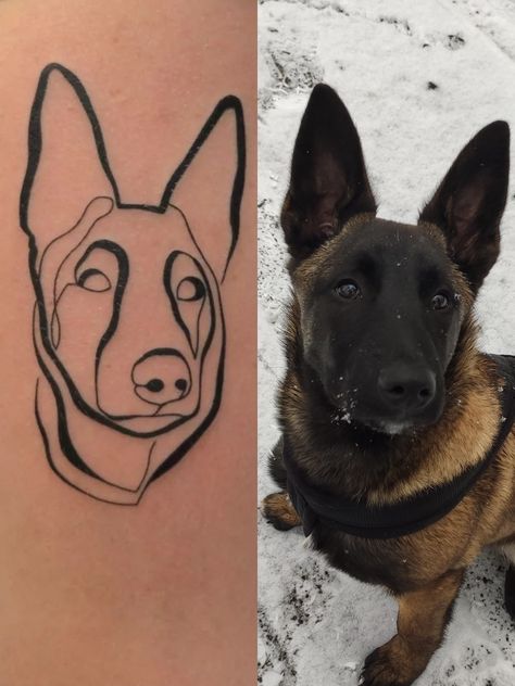 Malinois Tattoo Belgian, Malinois Tattoo Ideas, Belgium Malinois Tattoo, Belgian Malinois Tattoo Ideas, Belgian Malinois Drawing, Belgian Malinois Tattoo, Malinois Tattoo, Gsd Tattoo, German Shepherd Tattoo