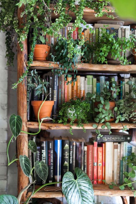 Living with 670 Plants in a Brooklyn Apartment How To Decorate A Bookshelf, Sitting Area Design, Planning Garden, Bookshelf Inspiration, Planters Garden, Outdoor Sitting Area, Gardening Design, Gardening Landscaping, Brooklyn Apartment