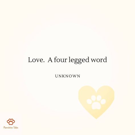 "Love. A four legged word" quote. Love Is A Four Legged Word, Animal Captions, Pet Quotes, Animal Love, Animal Quotes, Four Legged, Love A, Words Quotes, Animal Lover